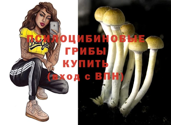 стаф Вязники